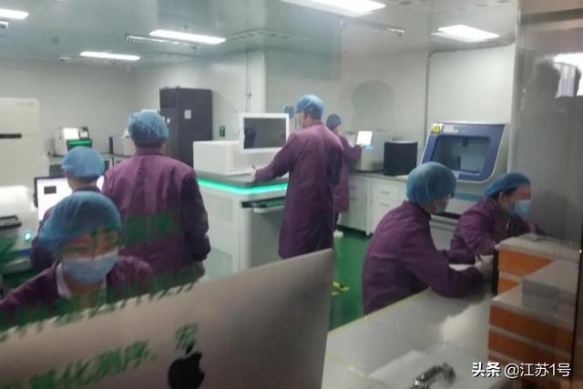 跟著中辦國辦調研江蘇復工復產 | 一座特大城市的“復活”之路